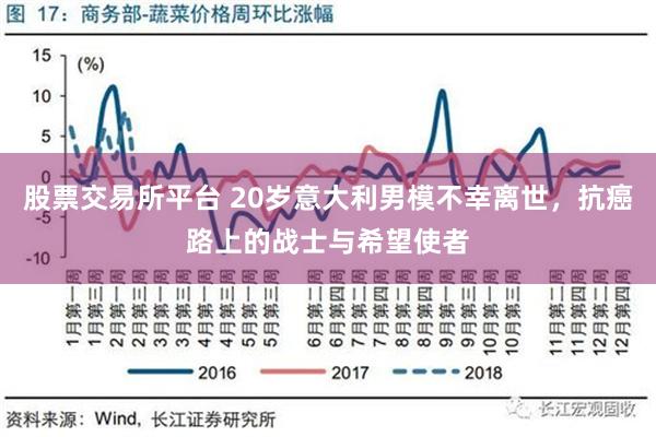 股票交易所平台 20岁意大利男模不幸离世，抗癌路上的战士与希望使者