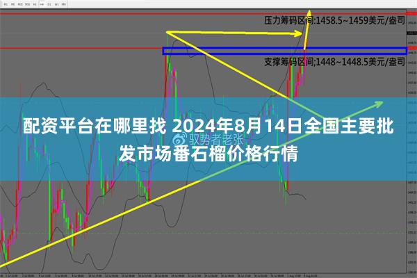 配资平台在哪里找 2024年8月14日全国主要批发市场番石榴价格行情