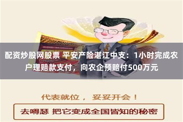 配资炒股网股票 平安产险湛江中支：1小时完成农户理赔款支付，向农企预赔付500万元