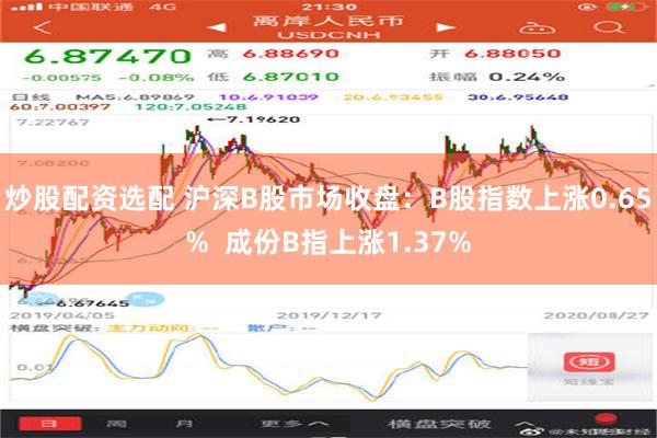 炒股配资选配 沪深B股市场收盘：B股指数上涨0.65%  成份B指上涨1.37%