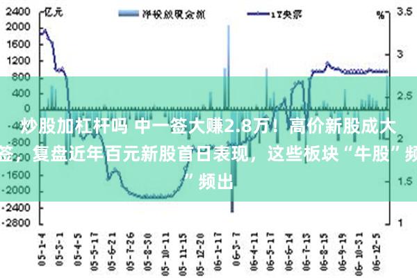 炒股加杠杆吗 中一签大赚2.8万！高价新股成大肉签，复盘近年百元新股首日表现，这些板块“牛股”频出