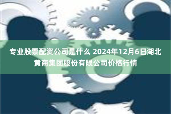 专业股票配资公司是什么 2024年12月6日湖北黄商集团股份有限公司价格行情