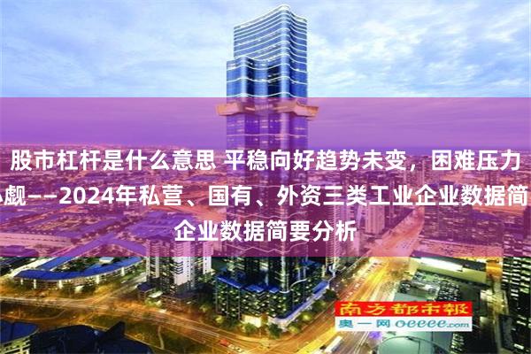 股市杠杆是什么意思 平稳向好趋势未变，困难压力不容小觑——2024年私营、国有、外资三类工业企业数据简要分析