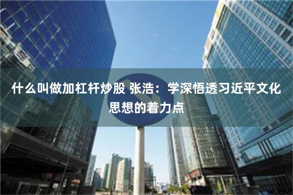 什么叫做加杠杆炒股 张浩：学深悟透习近平文化思想的着力点